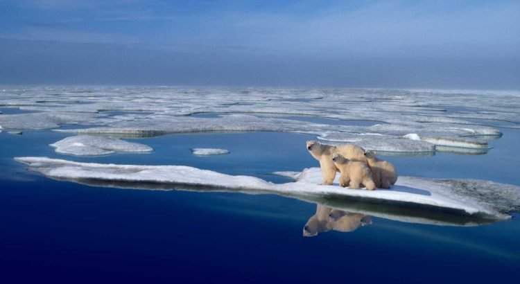 Podría el Ártico perder todo su hielo