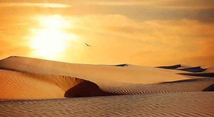 Desierto de Altar, el lugar más caluroso del mundo Desierto de Altar, el lugar más caluroso del mundo