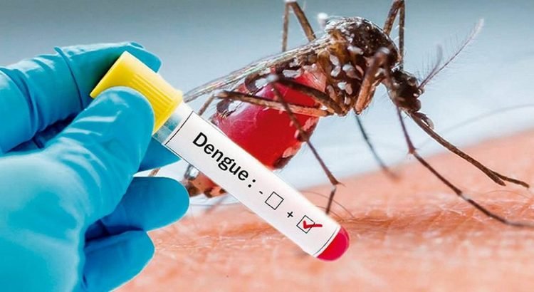 Dengue en Puebla suma mil 198 casos