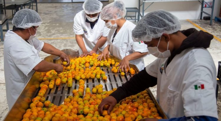 Puebla, líder de exportaciones