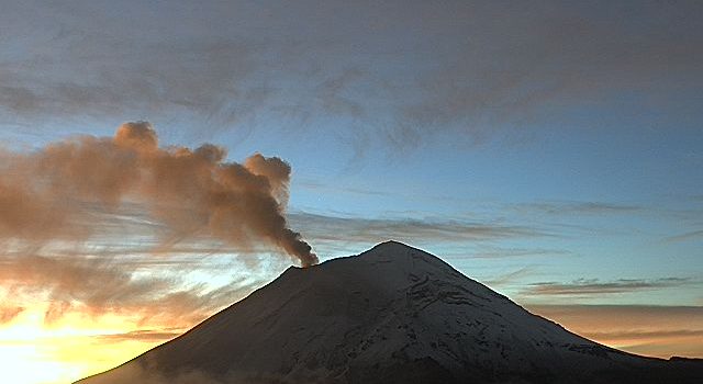 “Don Goyo” despierta activo esta mañana