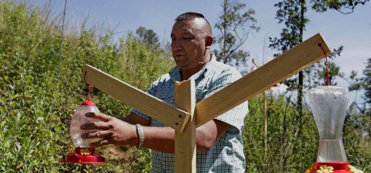 Activsta crea santuario para colibríes en Puebla