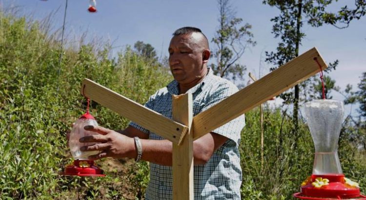 Activsta crea santuario para colibríes en Puebla