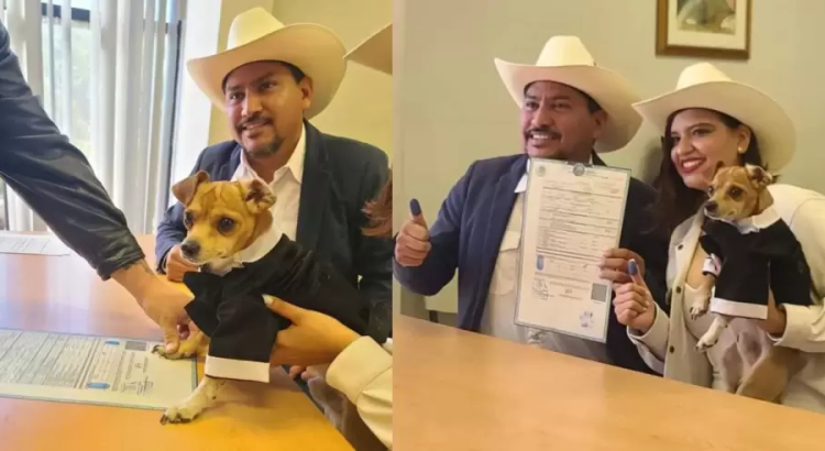 Firma perrito como testigo en la boda de sus “papás”