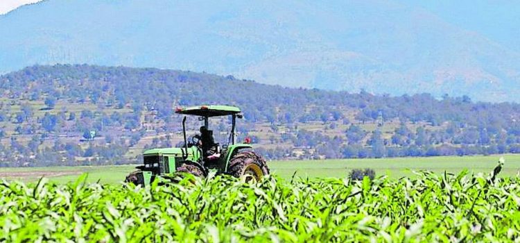 Reporta Puebla crecimiento económico en agricultura y comercio durante 2023