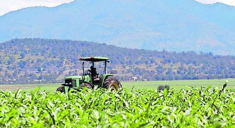 Reporta Puebla crecimiento económico en agricultura y comercio durante 2023