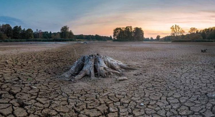 Se extiende la sequía a casi el 80% del país