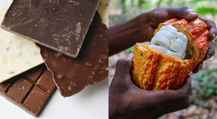Desarrollan un tipo de chocolate más sostenible y nutritivo