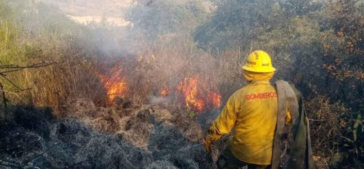 Puebla registró un total de 20 incendios forestales durante los últimos 30 días