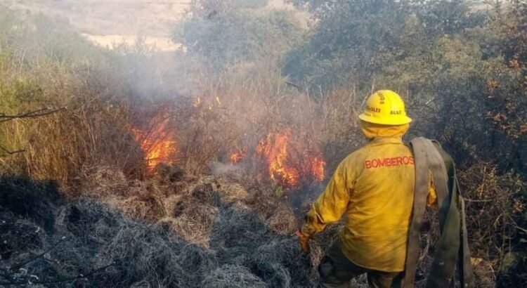 Puebla registró un total de 20 incendios forestales durante los últimos 30 días