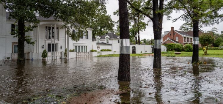 Intensas lluvias en Puebla provocan inundaciones y caída de árboles