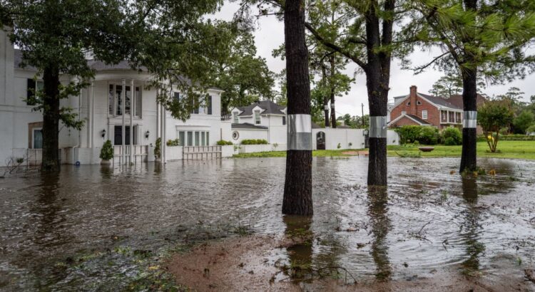 Intensas lluvias en Puebla provocan inundaciones y caída de árboles