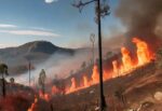 Incendio forestal en el Cerro del Zapatero, Puebla
