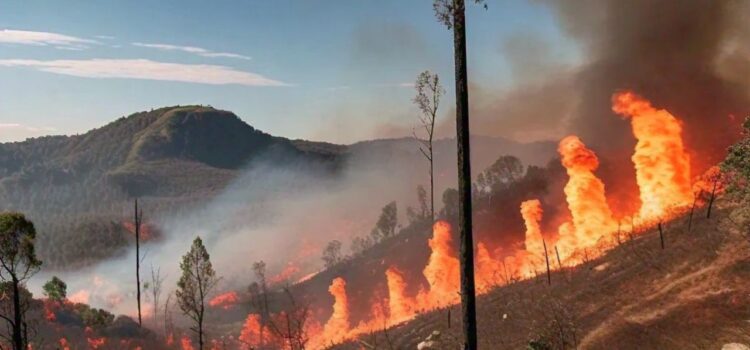 Incendio forestal en el Cerro del Zapatero, Puebla