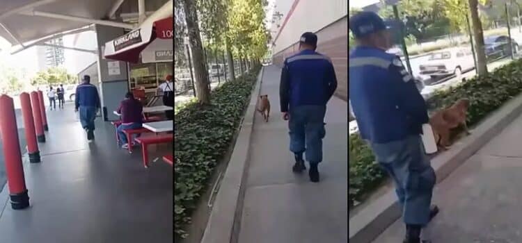 Indignación por maltrato a perrito en tienda Costco de Puebla