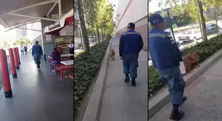 Indignación por maltrato a perrito en tienda Costco de Puebla