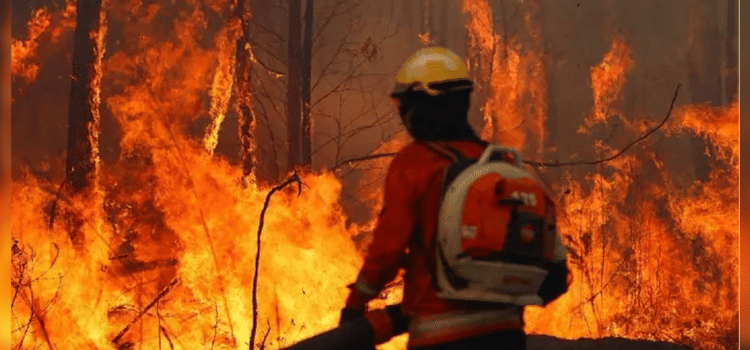 Bolivia enfrenta una emergencia nacional por incendios forestales: una crisis agravada por la sequía