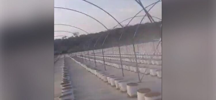 Ambientalistas amenazan con bloqueos carreteros en defensa del agua en Puebla