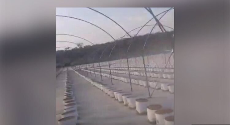 Ambientalistas amenazan con bloqueos carreteros en defensa del agua en Puebla