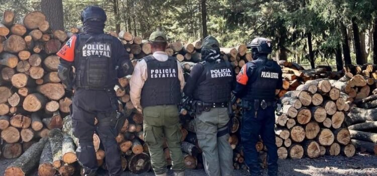 En Puebla, aseguran más de 230 troncos y desmantelan hornos ilegales