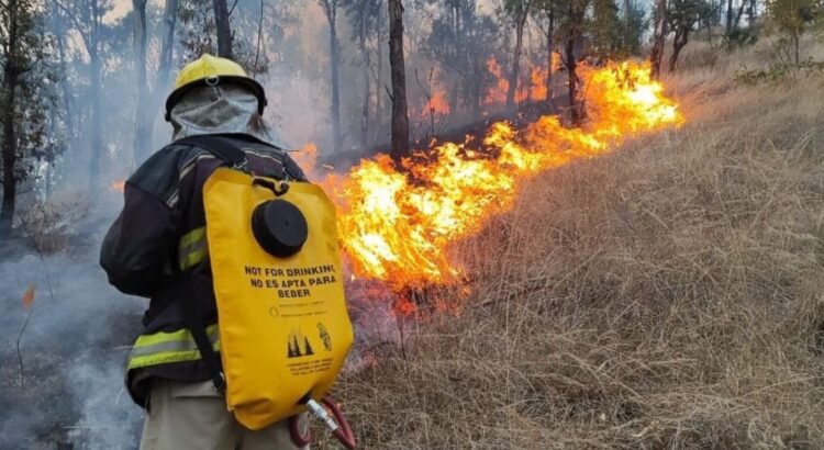Más de 60 hectáreas afectadas por incendio en Puebla y Tlaxcala