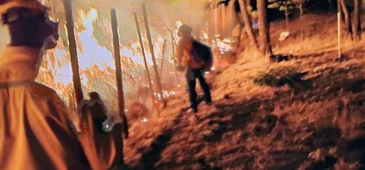 Incendios arrasan miles de hectáreas en Puebla