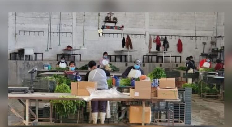 Puebla sufre caída del 19% en exportaciones