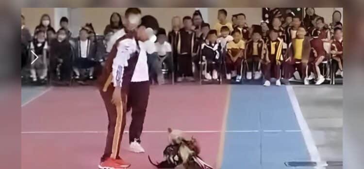 Peleas de gallos generan rechazo en escuela de Tehuacán, Puebla Peleas de gallos generan rechazo en escuela de Tehuacán, Puebla