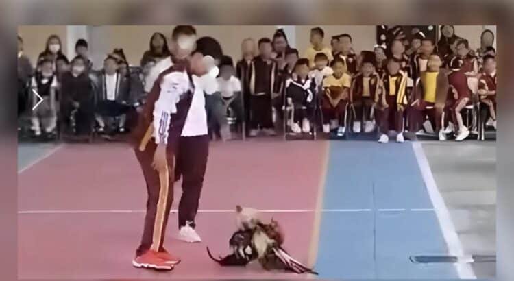 Peleas de gallos generan rechazo en escuela de Tehuacán, Puebla