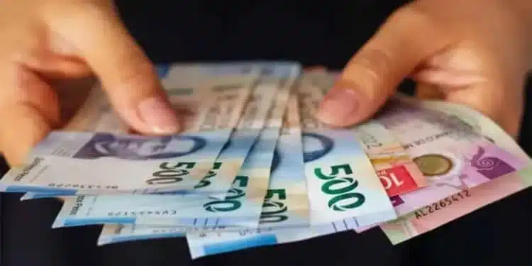 Simplificarán el gasto en 2026