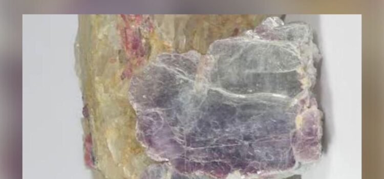 Puebla avanza en la exploración científica del litio dentro del Plan México Puebla avanza en la exploración científica del litio dentro del Plan México
