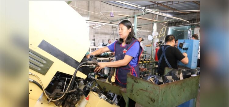 Industria zapatera y tecnología: un reto para Puebla Industria zapatera y tecnología: un reto para Puebla