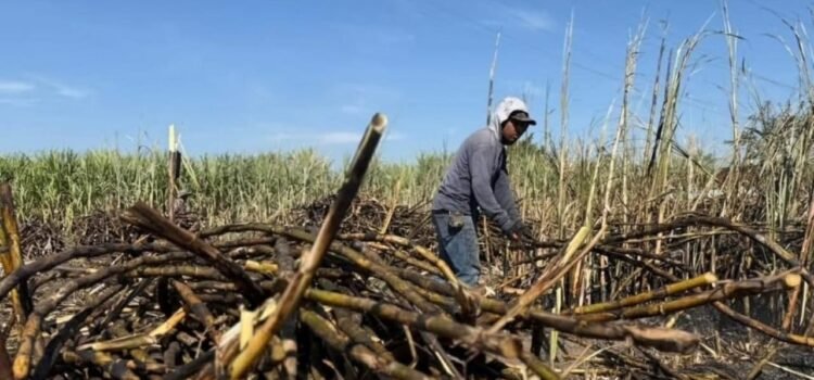 Se disparan 45% las extorsiones contra campesinos en Puebla Se disparan 45% las extorsiones contra campesinos en Puebla