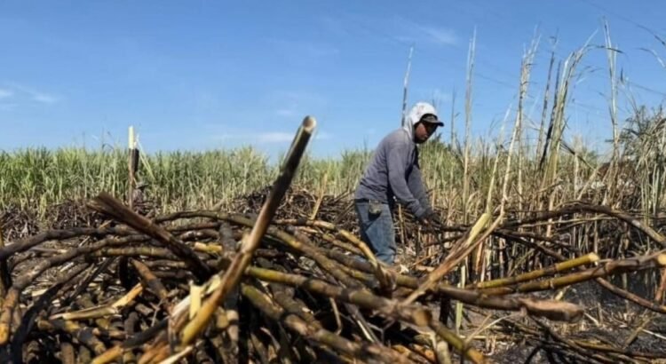 Se disparan 45% las extorsiones contra campesinos en Puebla