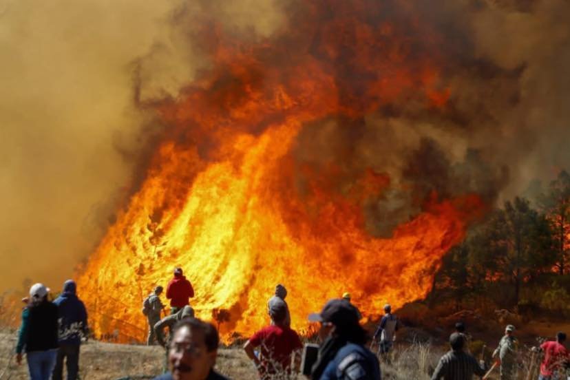 Puebla prevé reforestar con 7 millones de árboles tras 152 incendios forestales