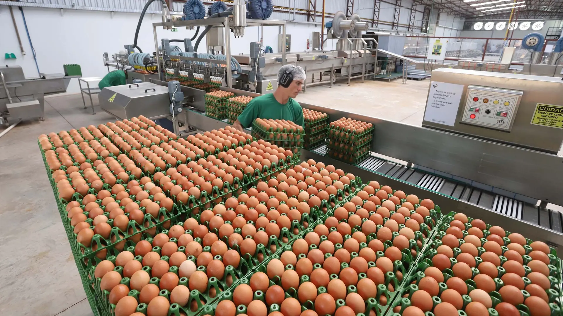 Puebla produce más de 496 mil toneladas de huevo y ocupa el segundo lugar nacional